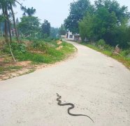 <strong>那么明然会有倾盆</strong>