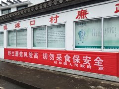 <strong>平安无小事</strong>